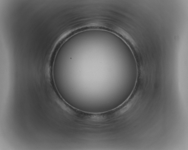 X0000112171029200908141301