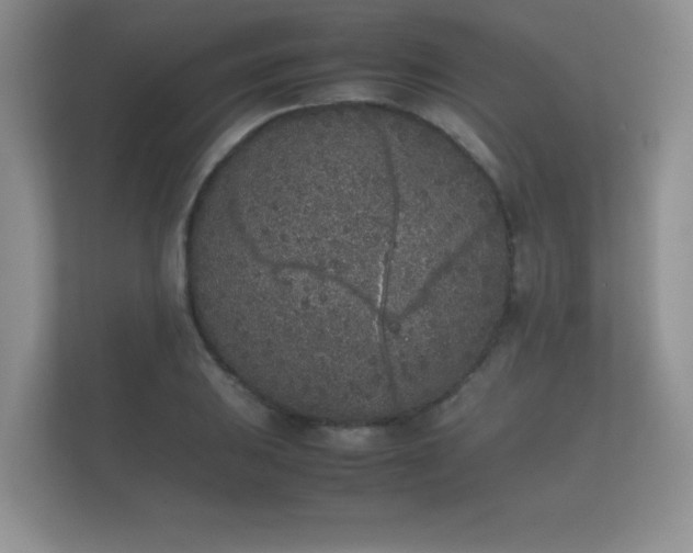 X0000112171031200908141301