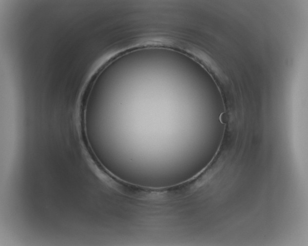 X0000112171038200908141302