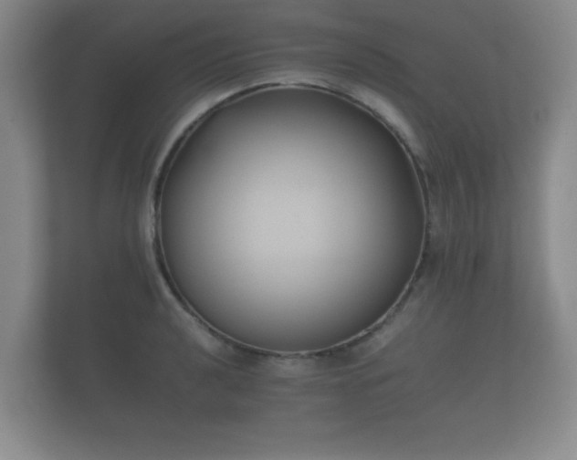 X0000112171040200908141302