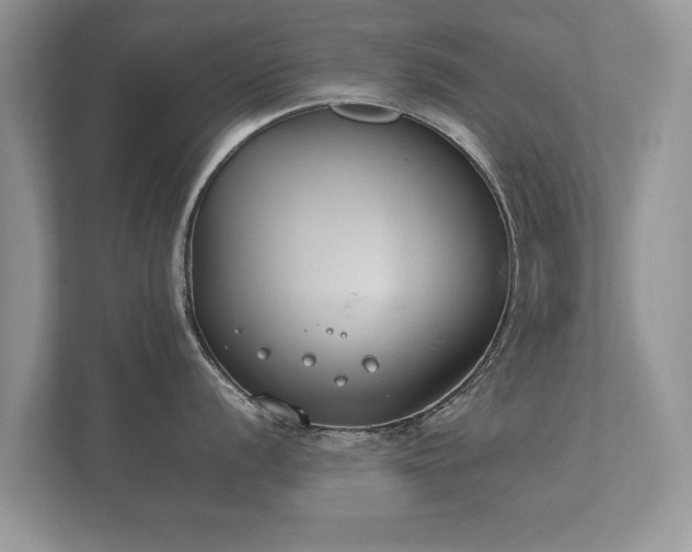 X0000112171056200908141302