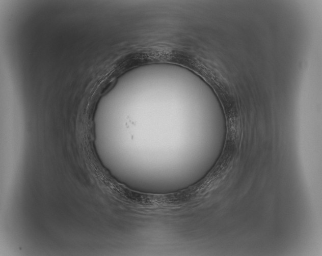 X0000112171057200908141301