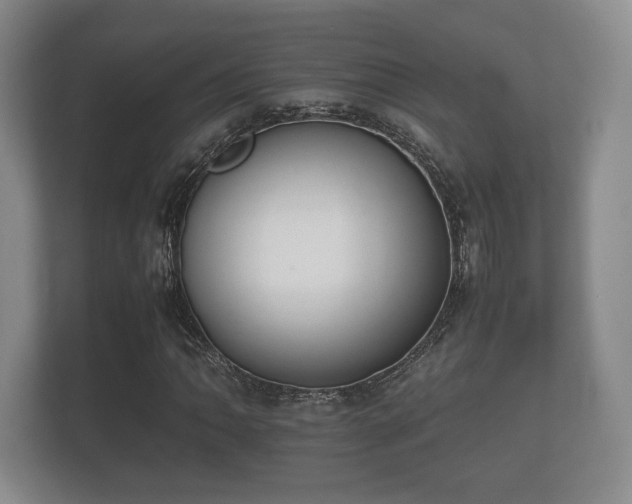 X0000112171062200908141301