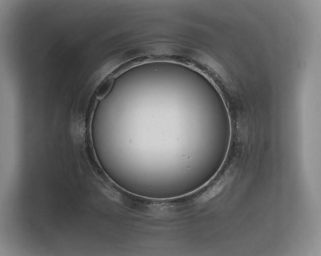 X0000112171065200908141301