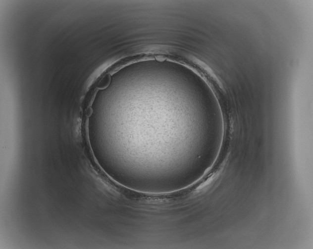 X0000112171066200908141301