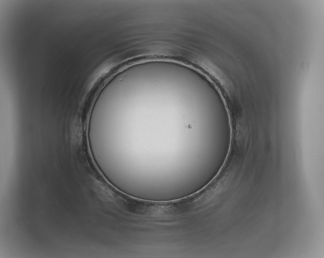 X0000112171067200908141301