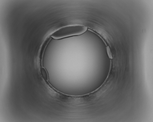 X0000112171072200908141301