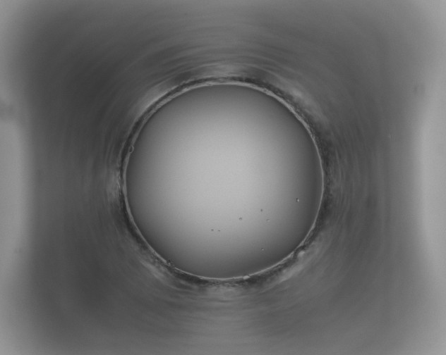 X0000112171073200908141301