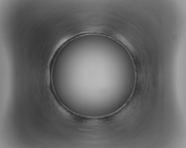 X0000112171079200908141301