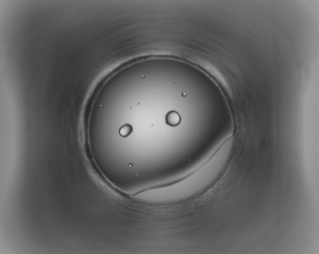 X0000112171080200908141301