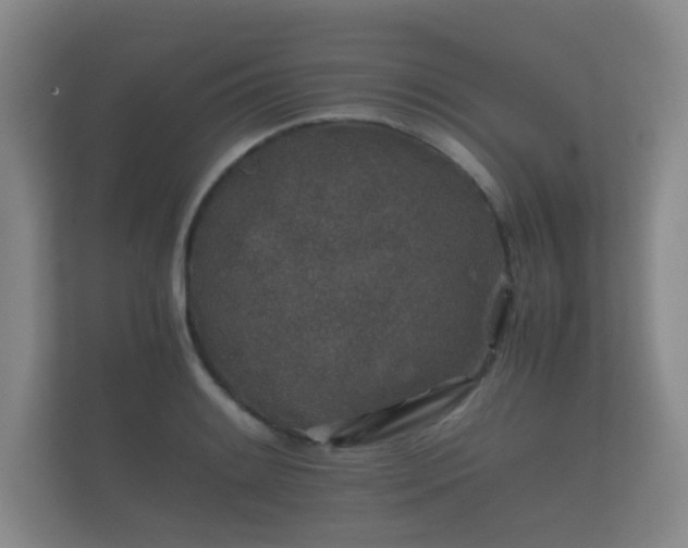 X0000112171084200908141301