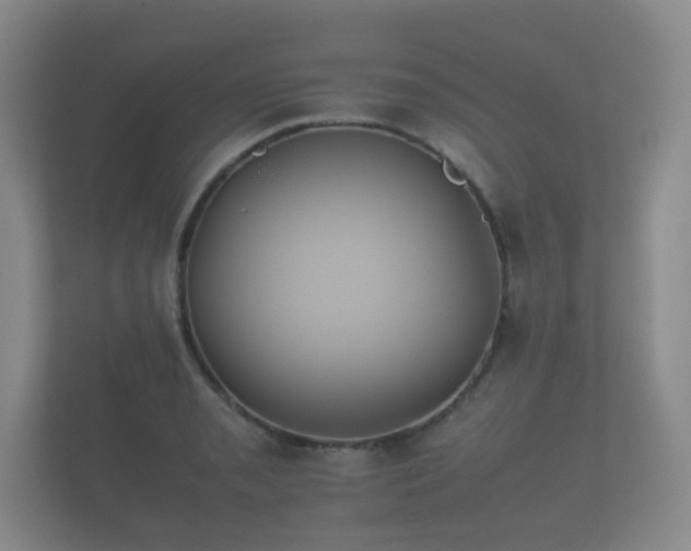 X0000112171085200908141301