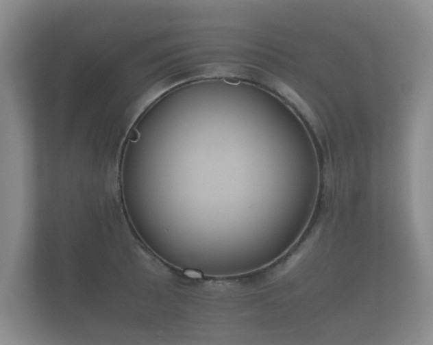 X0000112171089200908141301