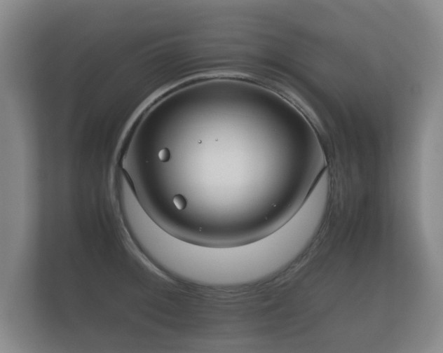 X0000112171092200908141301