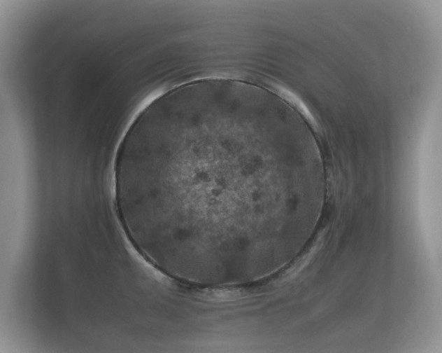 X0000112171095200908141301