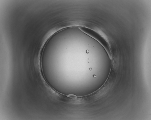 X0000112171096200908141301