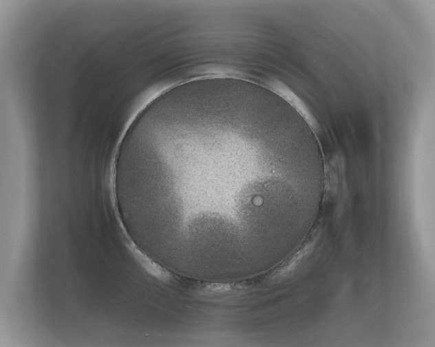 X0000112171098200908141301