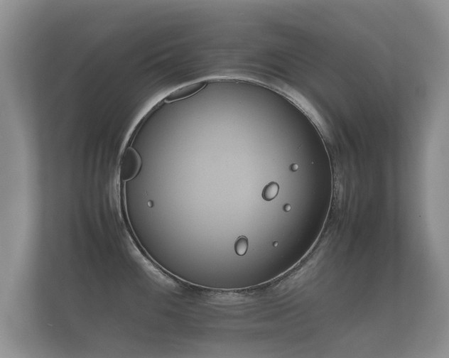 X0000112171100200908141301