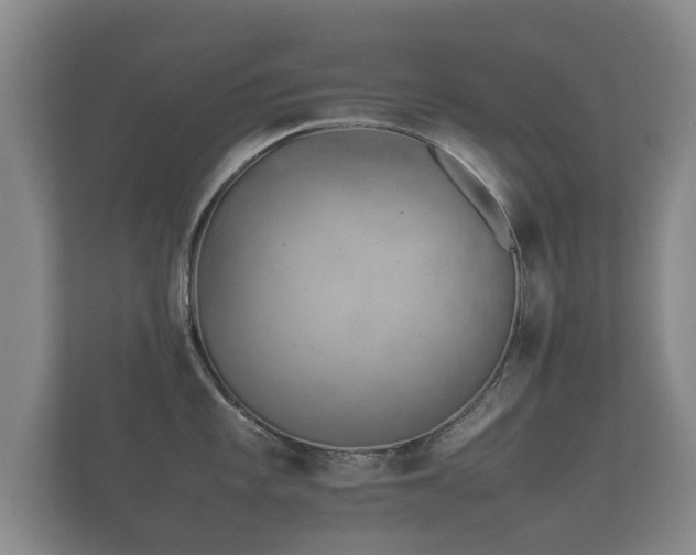 X0000112171101200908141301