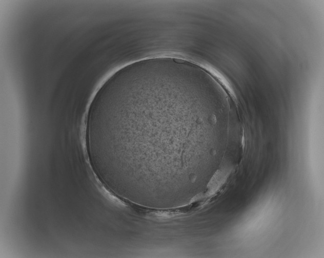 X0000112171102200908141301