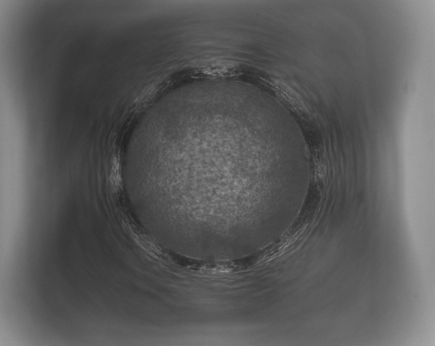 X0000112171106200908141300