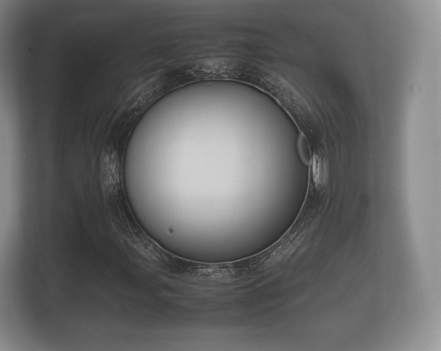 X0000112171107200908141300