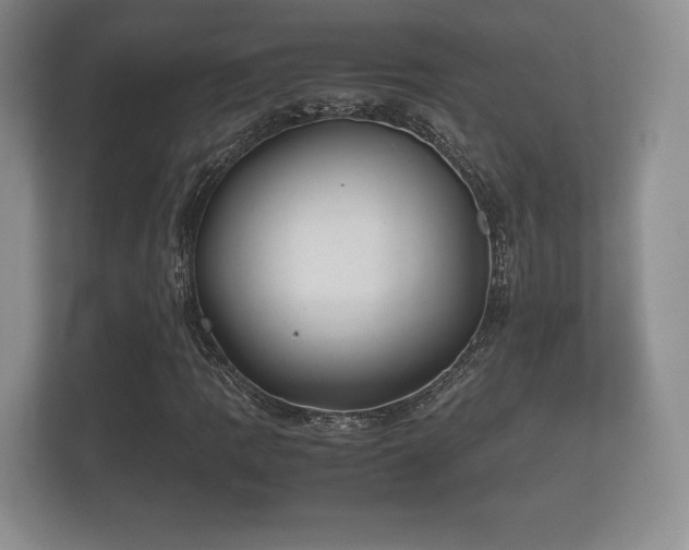 X0000112171109200908141300