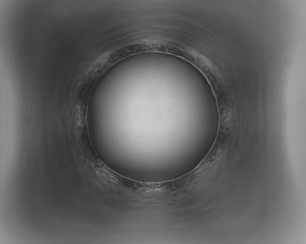 X0000112171110200908141300