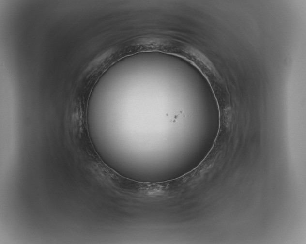 X0000112171111200908141300