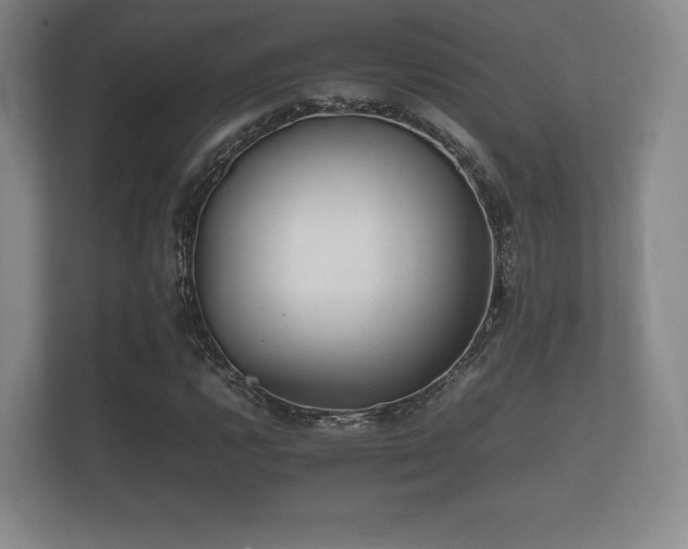 X0000112171112200908141300