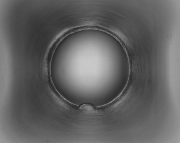 X0000112171118200908141300