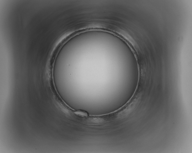 X0000112171119200908141300