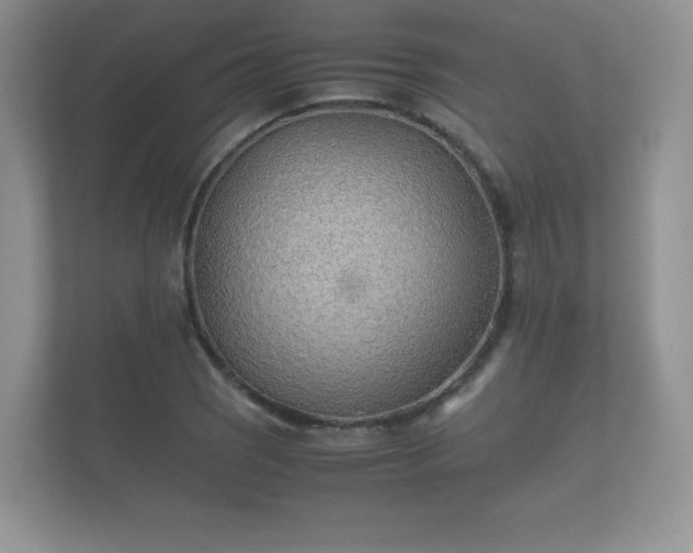 X0000112171121200908141300