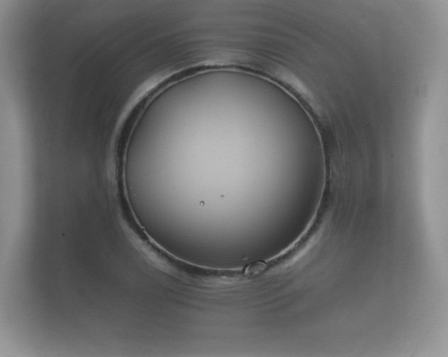 X0000112171122200908141300