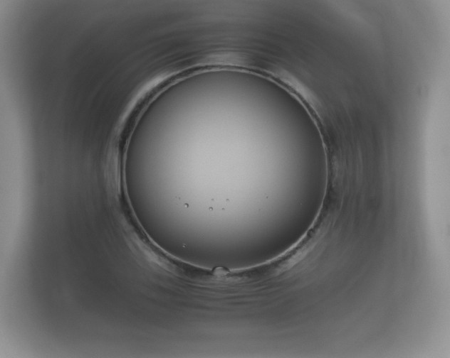 X0000112171123200908141300