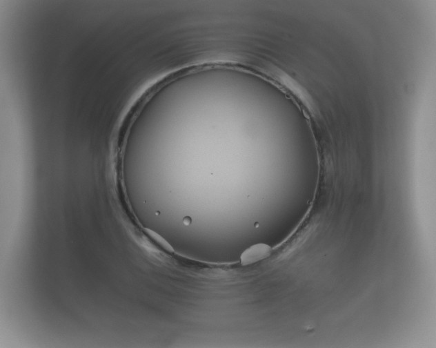 X0000112171124200908141300