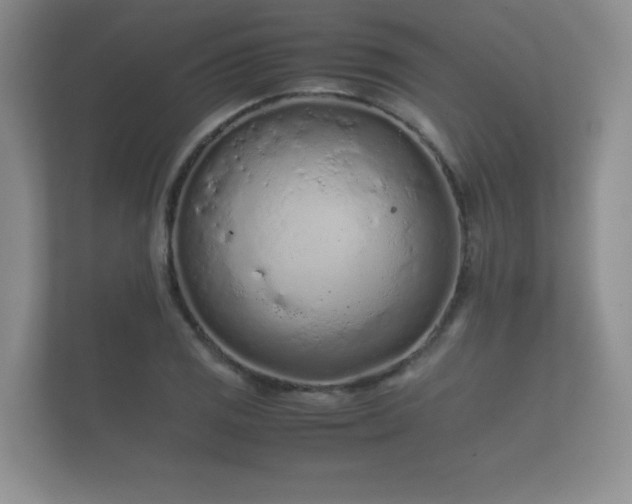 X0000112171125200908141300