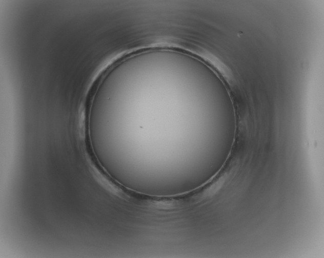 X0000112171126200908141300