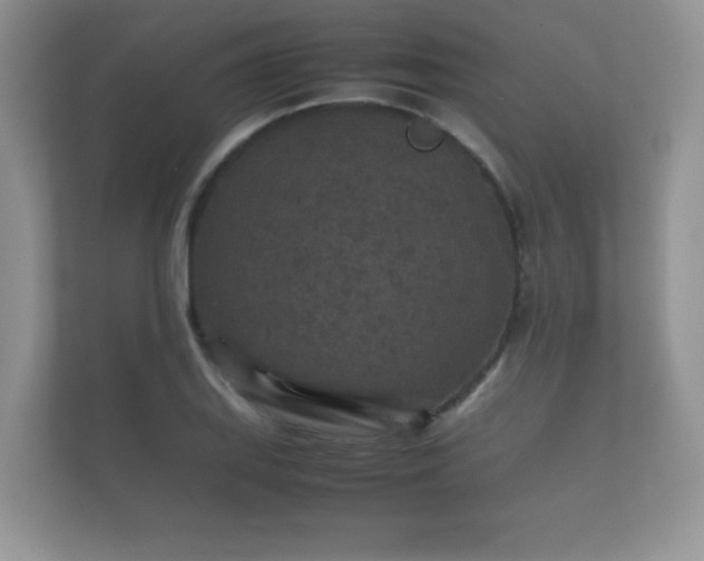 X0000112171127200908141300