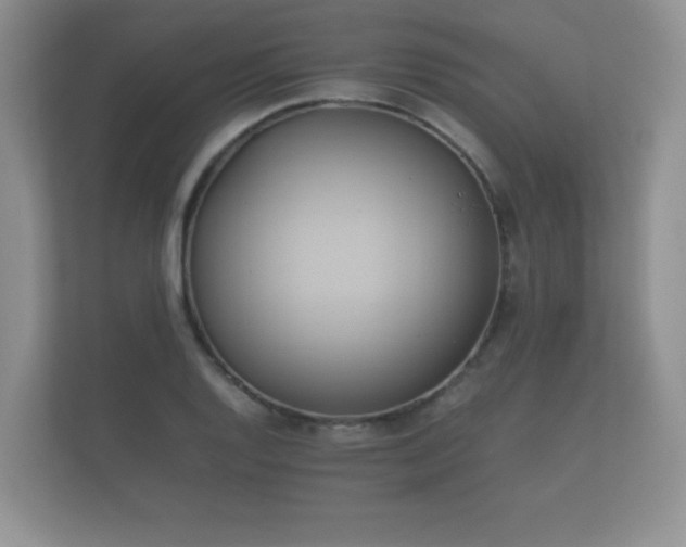 X0000112171128200908141300