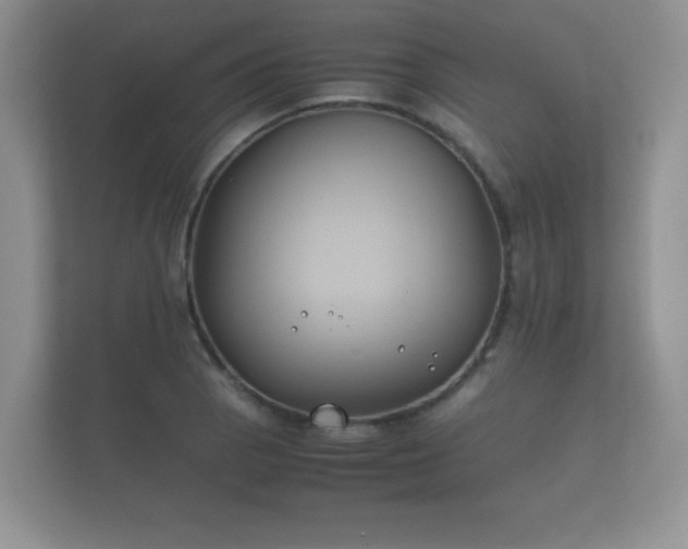 X0000112171129200908141300