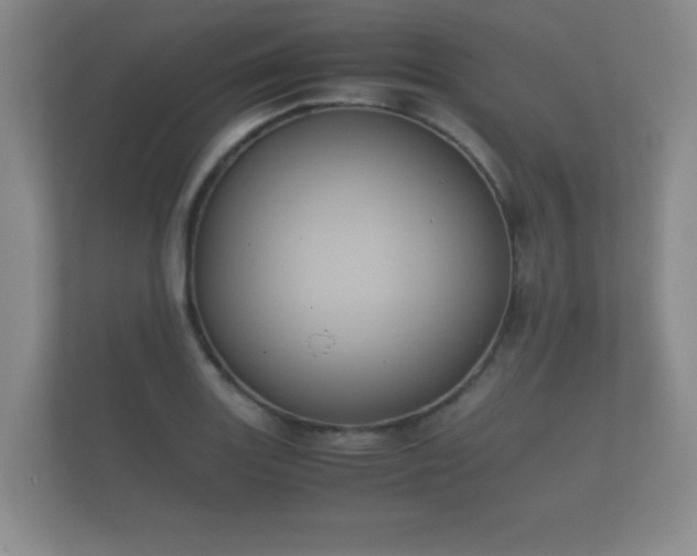 X0000112171131200908141300