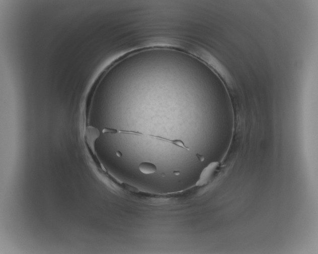 X0000112171132200908141300