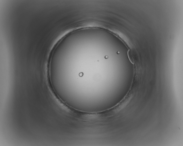 X0000112171134200908141300