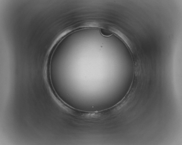 X0000112171139200908141300