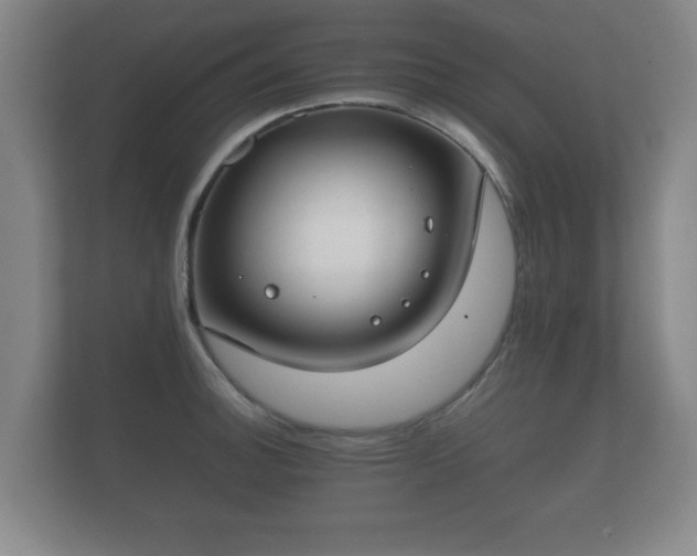 X0000112171140200908141300