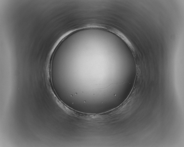 X0000112171148200908141300