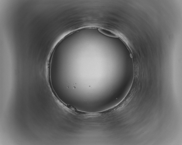 X0000112171151200908141300