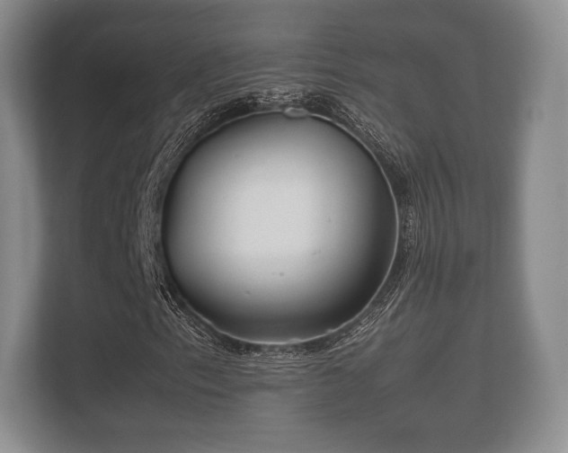 X0000112171153200908141300