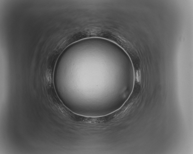 X0000112171155200908141300